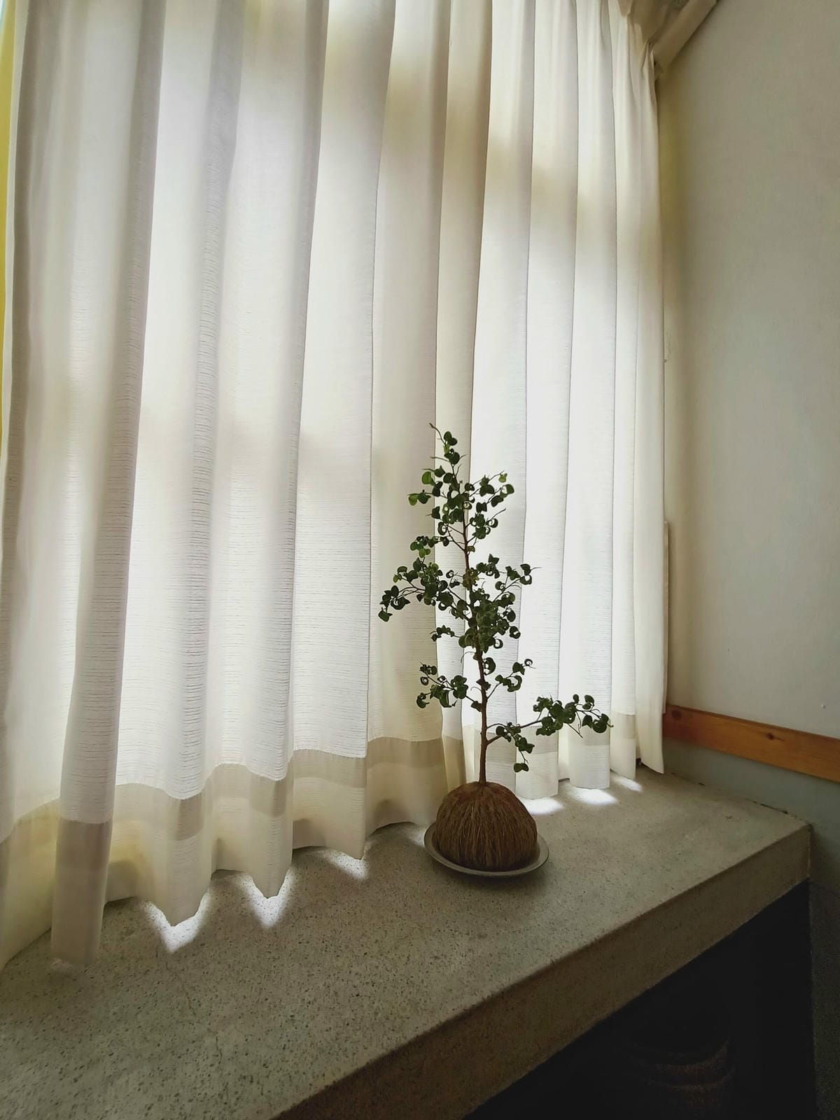 小巷裡的拾壹號-店家持續進步,再次回訪,更加喜愛