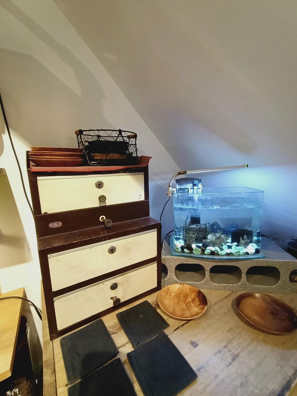 小巷裡的拾壹號-店家持續進步,再次回訪,更加喜愛