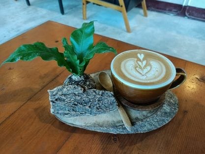 也香咖啡2210222525