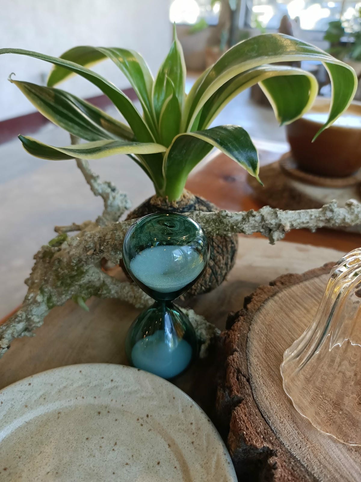 也香咖啡2210222525