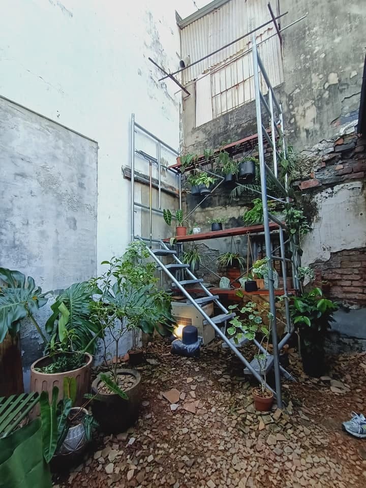 丰禾物食-150年歷史老宅,優質甜點讓人度過愉快午後