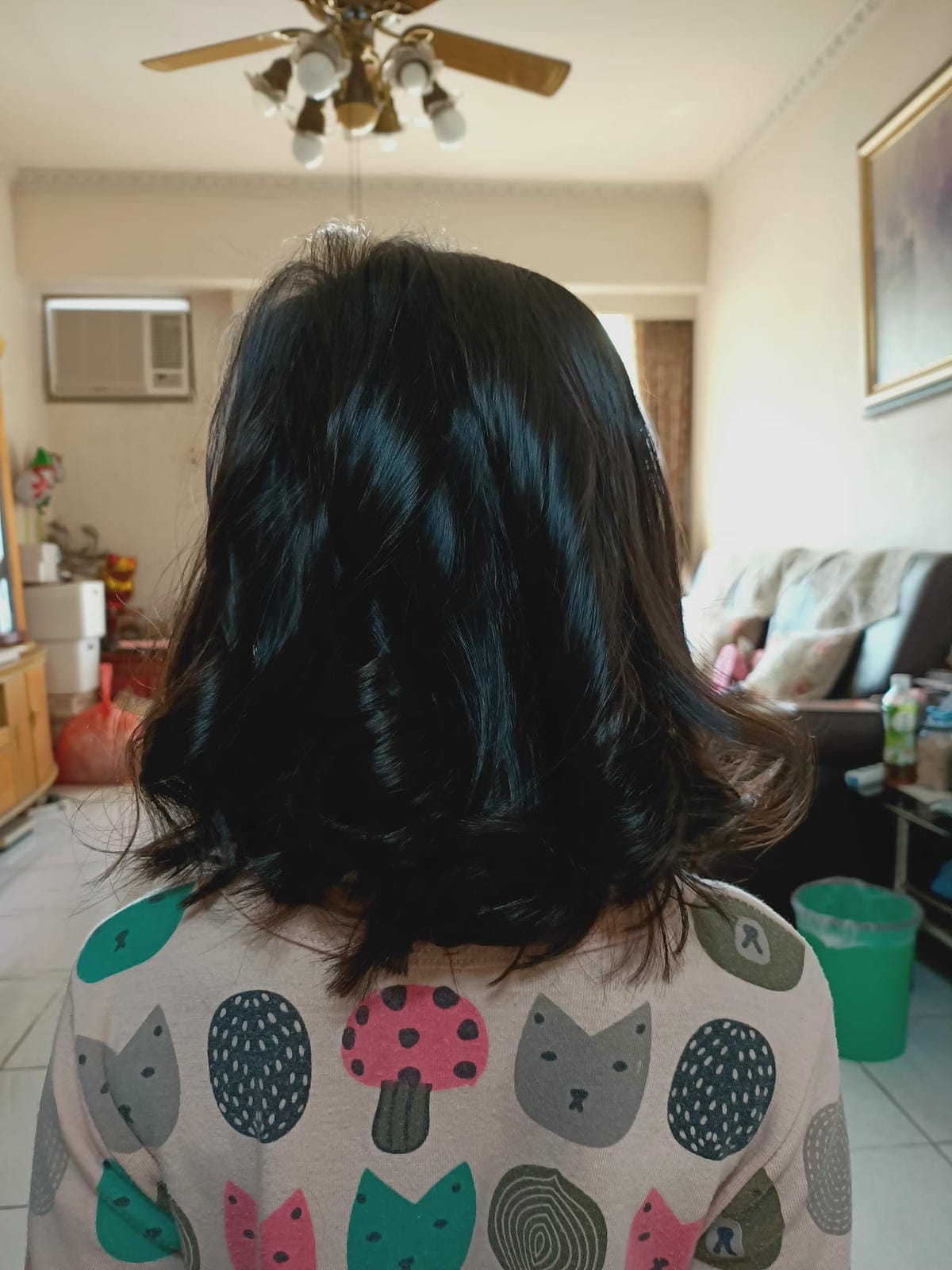 2025年-小年夜到初三生活點滴