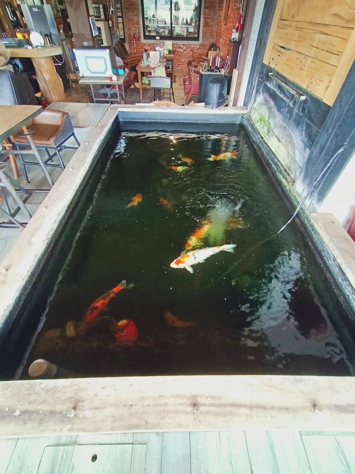 池上九號咖啡館-稻田景觀來訪先預約