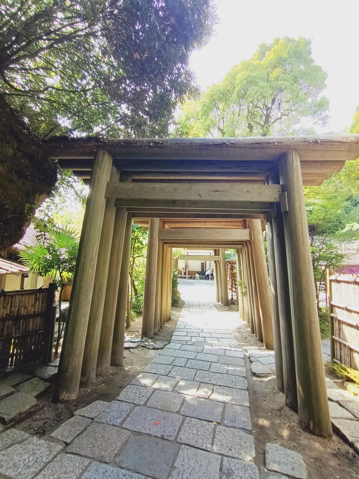 鎌倉-佐助稻荷神社&洗錢弁財天神社