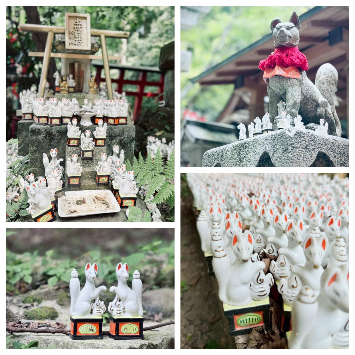 鎌倉-佐助稻荷神社&洗錢弁財天神社