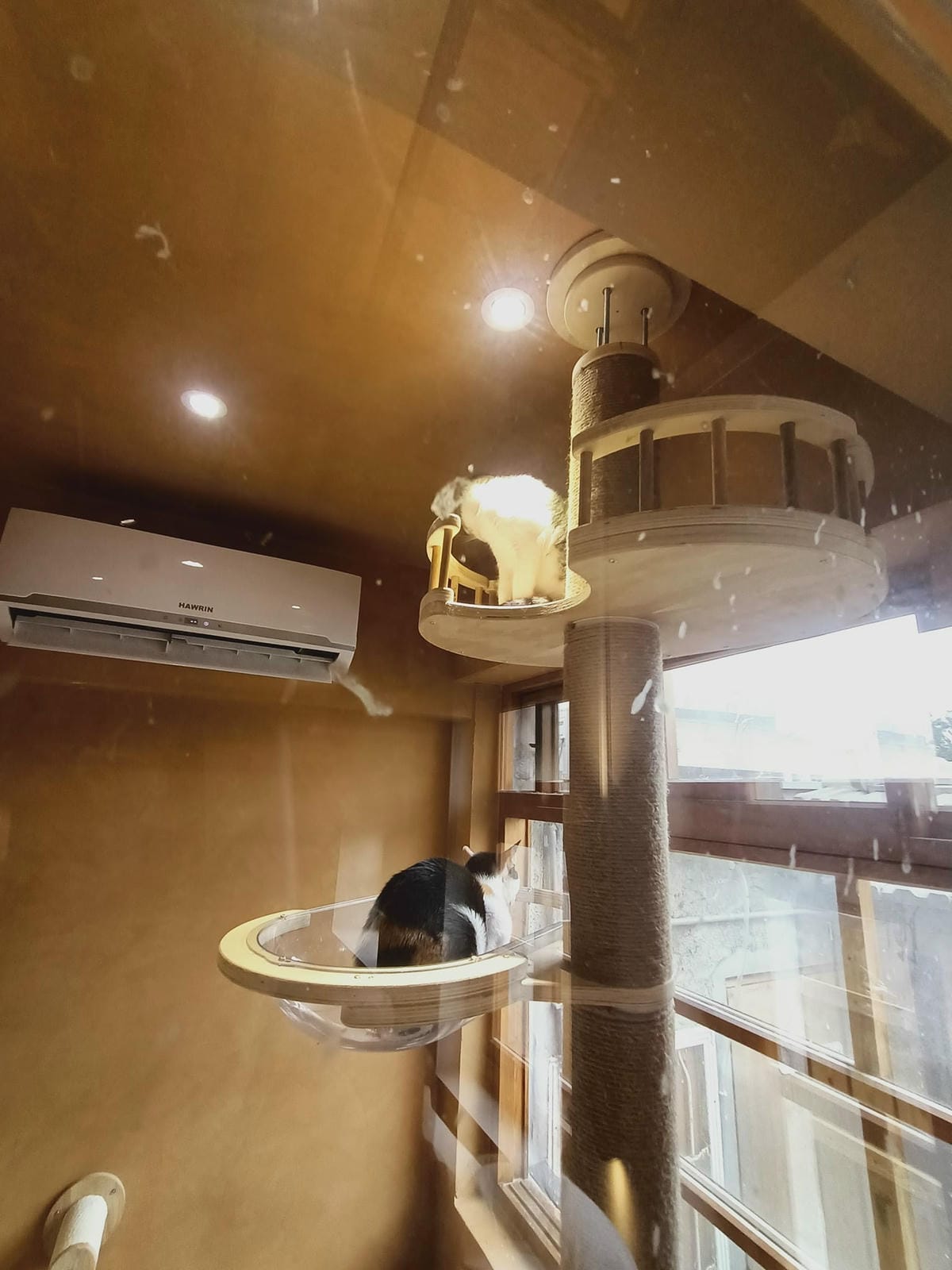 致日子2300220 致日子2300220