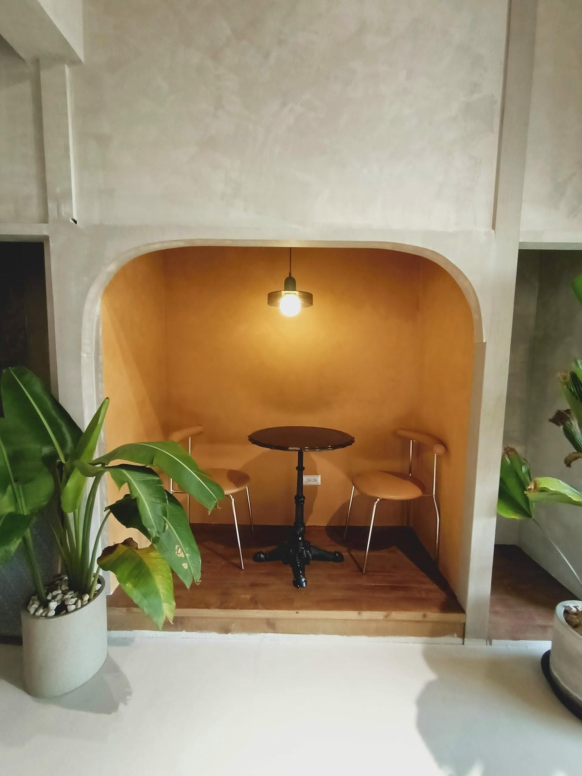 致日子2300220 致日子2300220