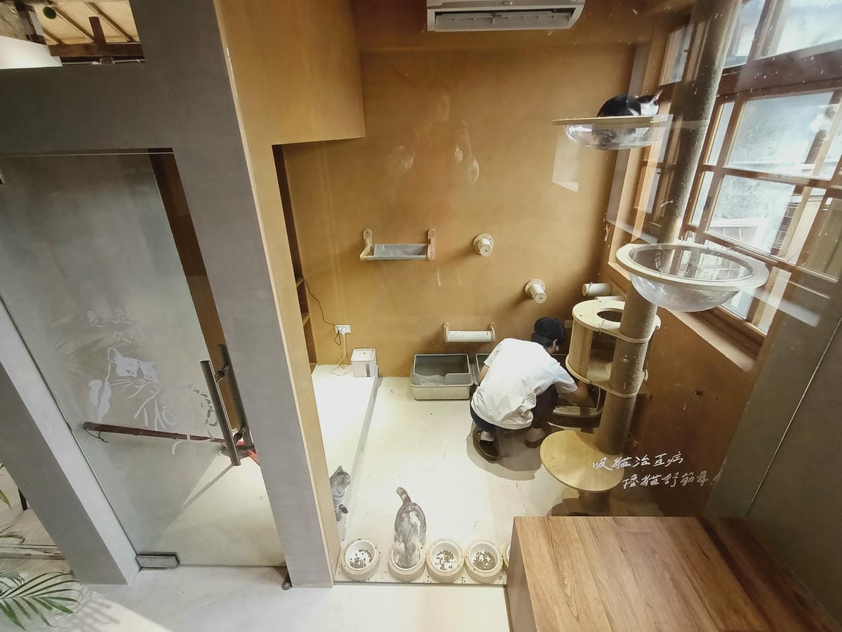 致日子2300220 致日子2300220