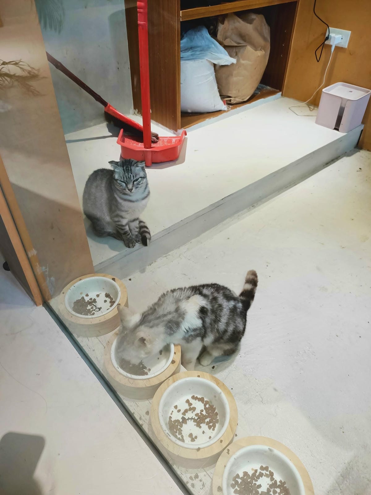 致日子2300220 致日子2300220