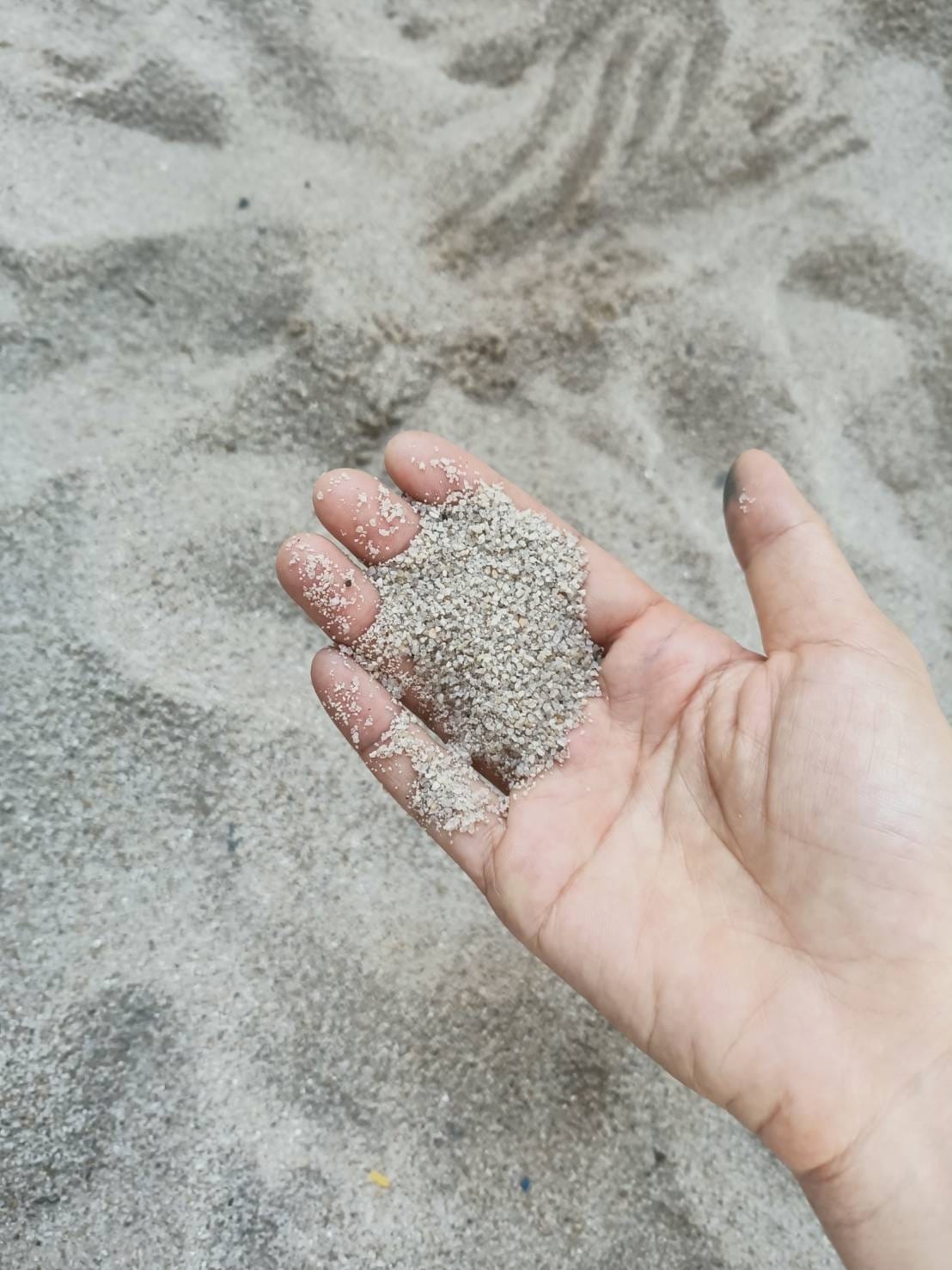 台南貨櫃公園-溜小孩好地方 台南貨櫃公園-溜小孩好地方
