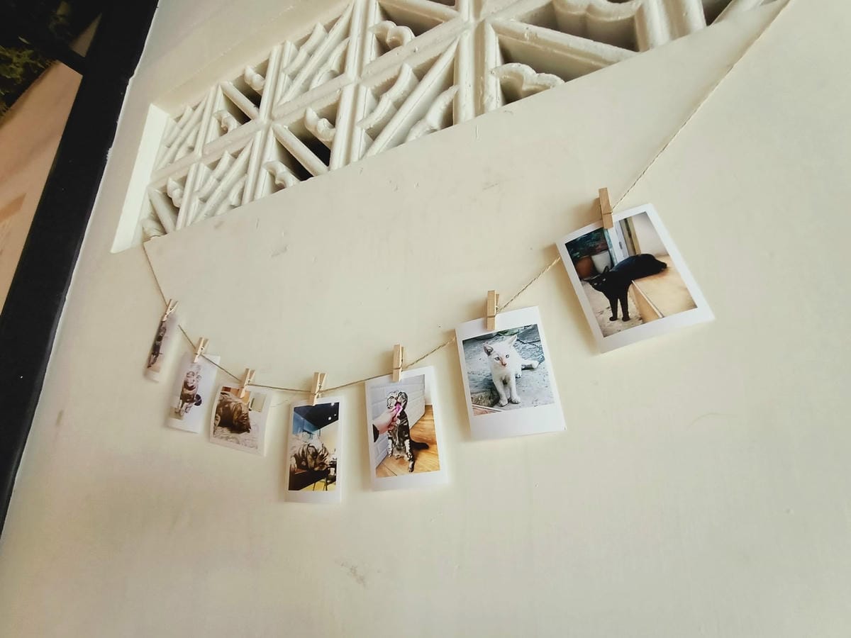 貓米早午餐-韓迷會喜愛