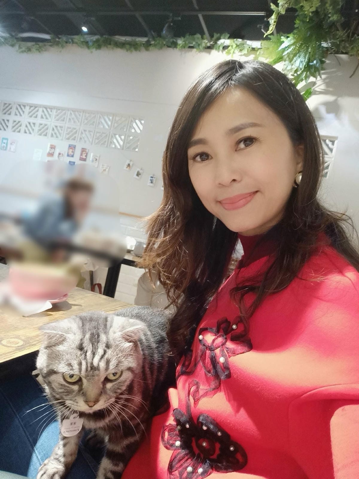 貓米早午餐-韓迷會喜愛