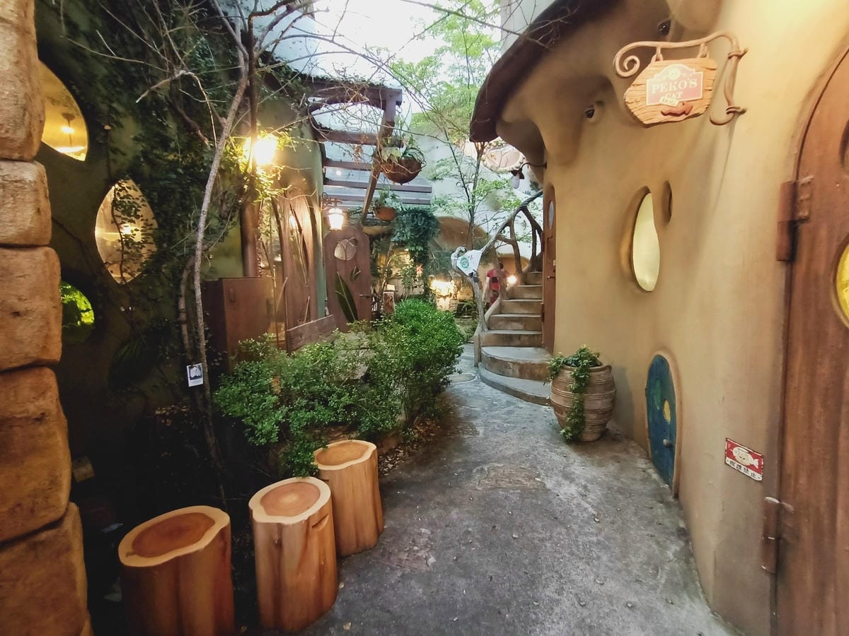 吉祥寺逛逛54212210