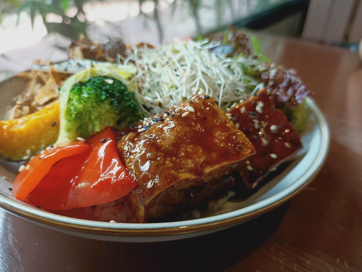 食不二蔬食-不是蔬食者也會愛上