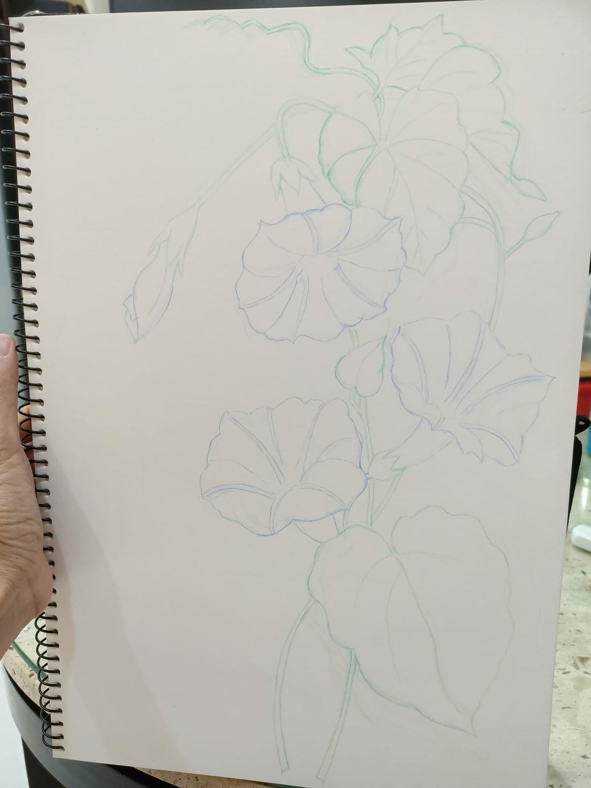 2023年6月19日-開始投入色鉛筆世界2120210