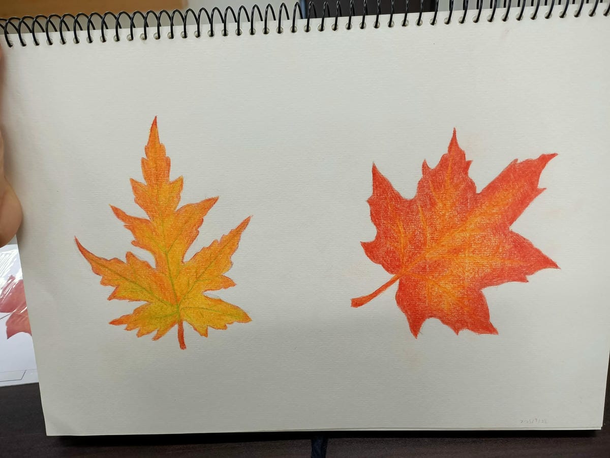 2023年6月19日-開始投入色鉛筆世界2120210