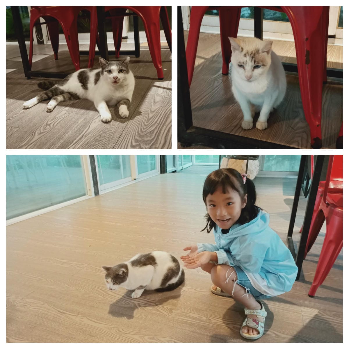 好和院景51202120