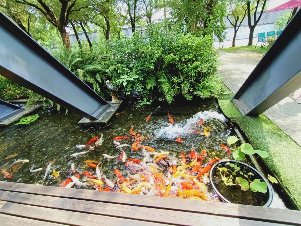 楓丹白露1120210210