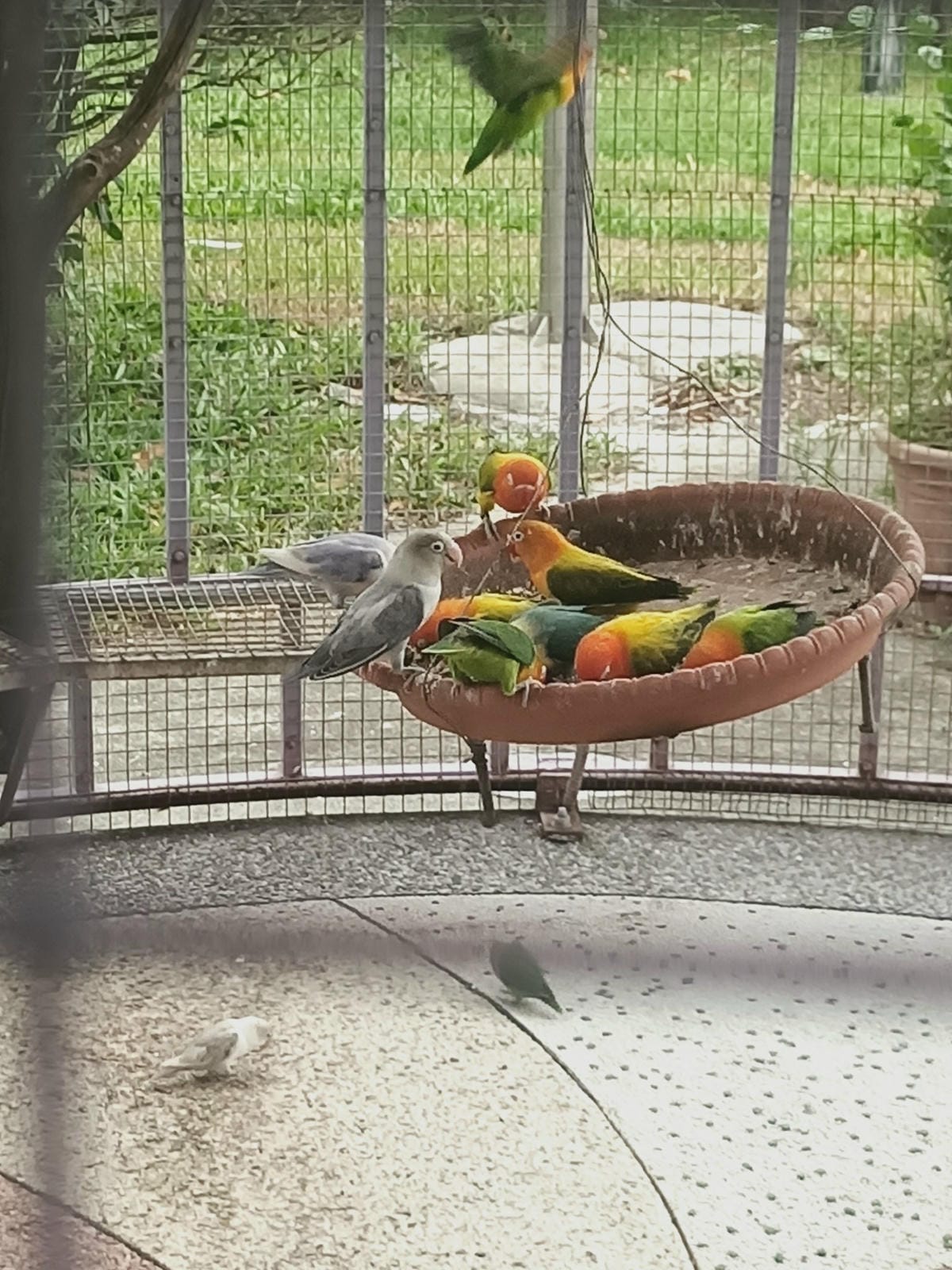 關山鎮半日遊-走訪關山臭豆腐,花生糖,關山鎮農會
