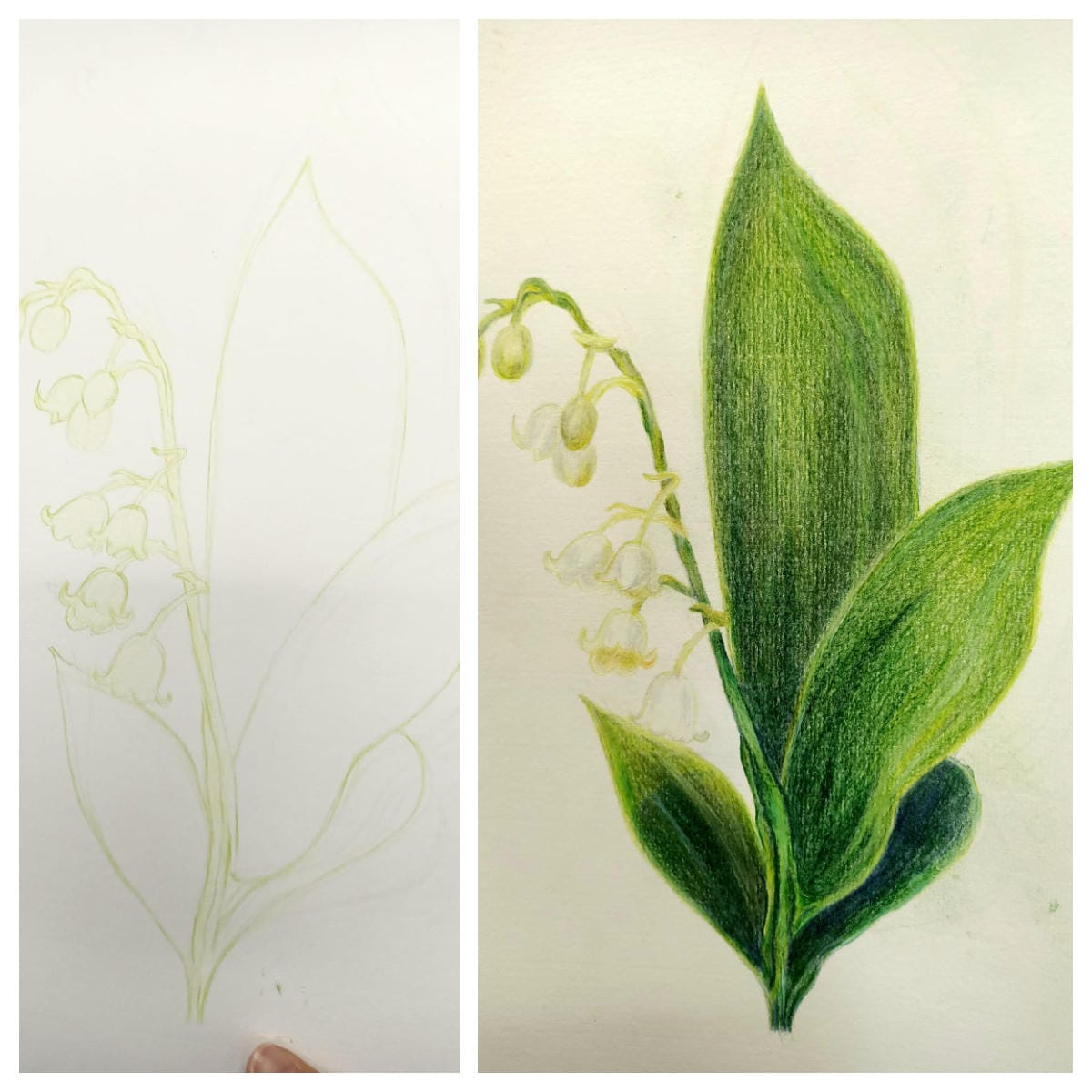 2023年6月19日-開始投入色鉛筆世界2120210