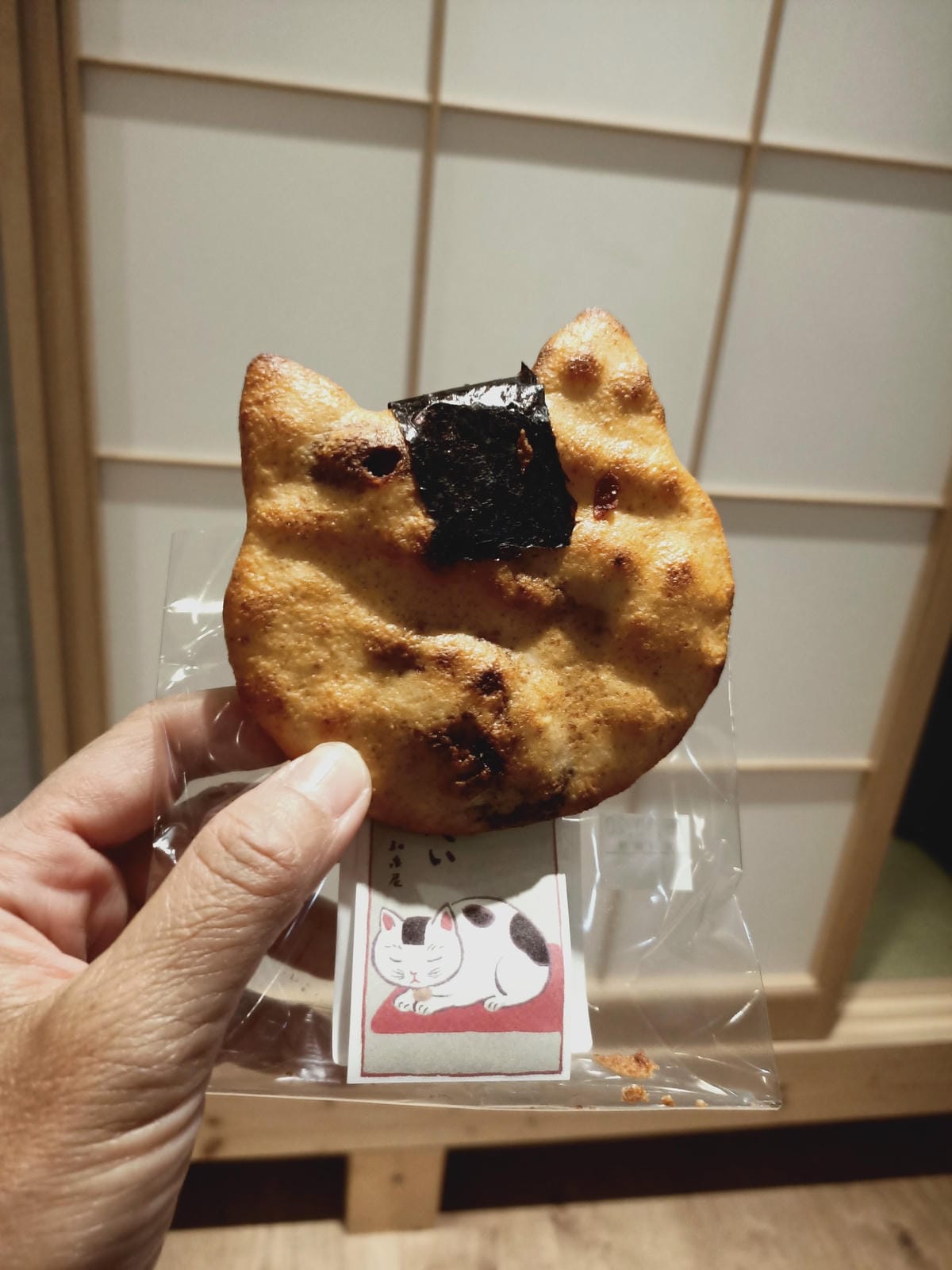 淺草雷門半日遊-即便是雨天也很好逛!!!