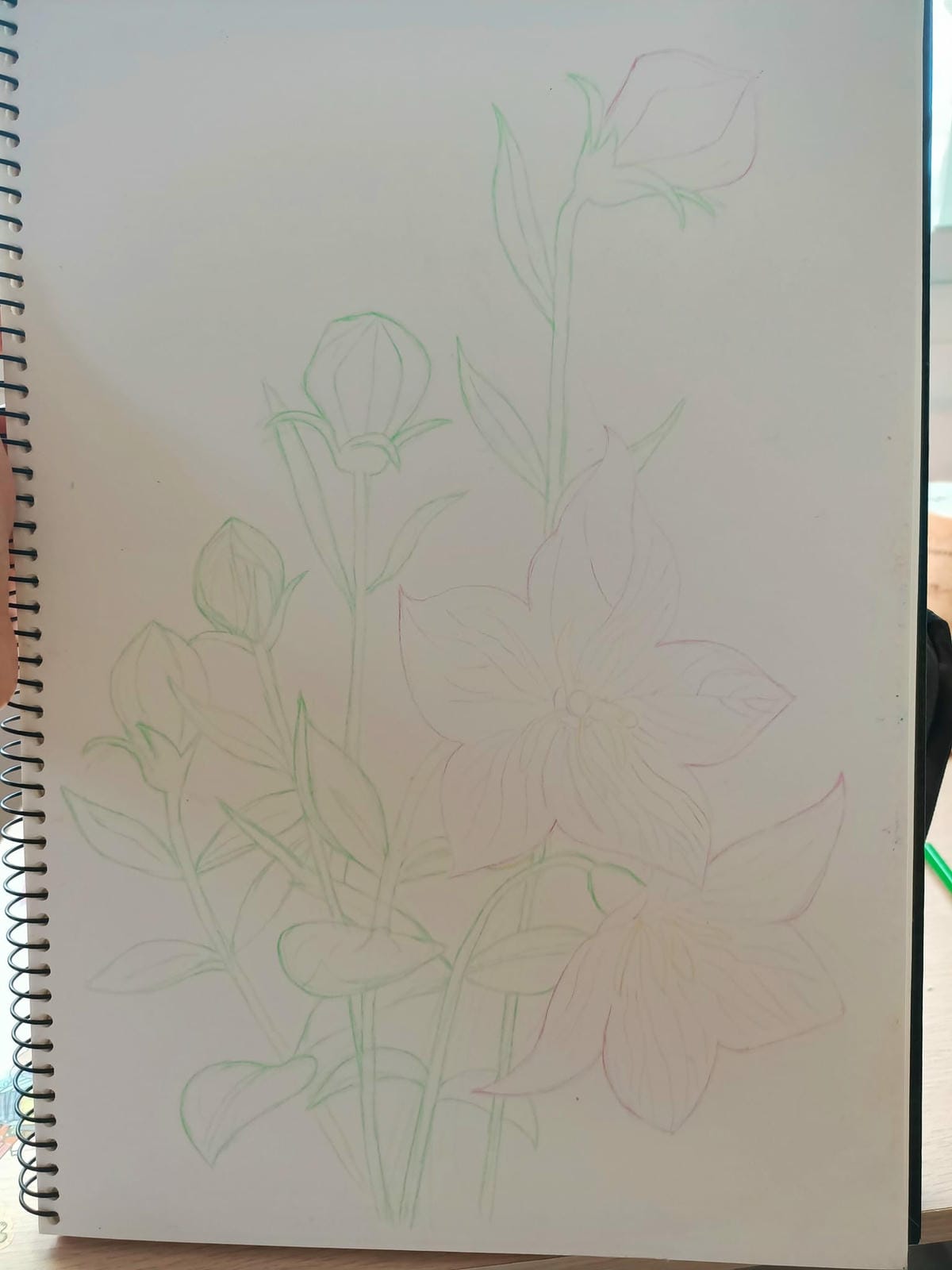 2023年6月19日-開始投入色鉛筆世界2120210