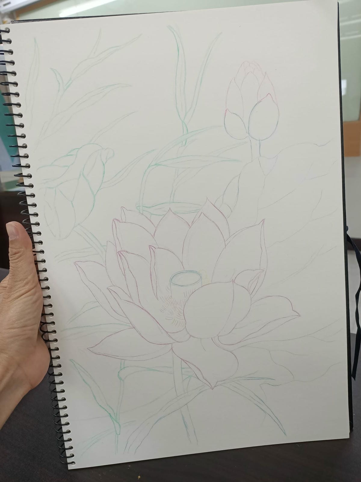 2023年6月19日-開始投入色鉛筆世界2120210