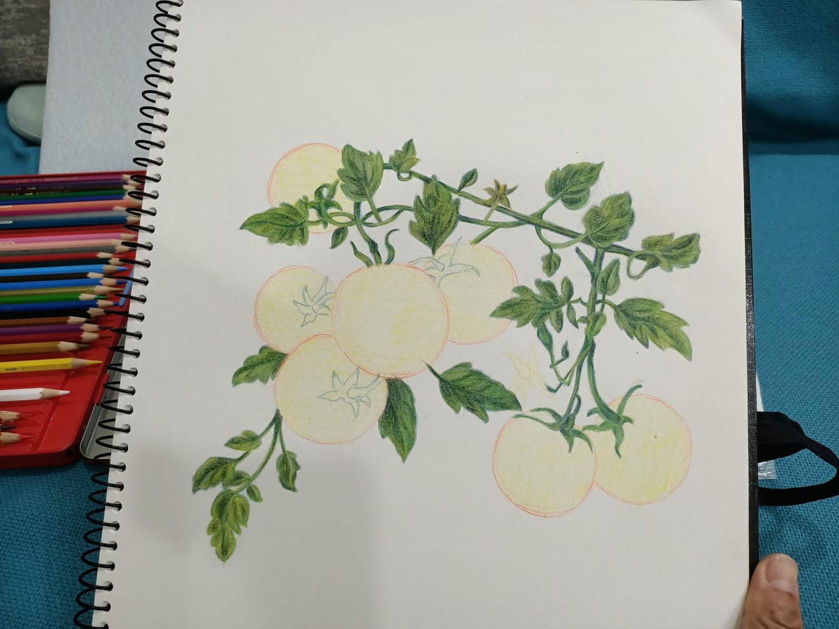 2023年6月19日-開始投入色鉛筆世界2120210