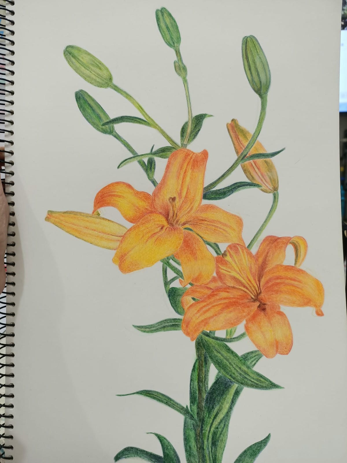 2023年6月19日-開始投入色鉛筆世界2120210