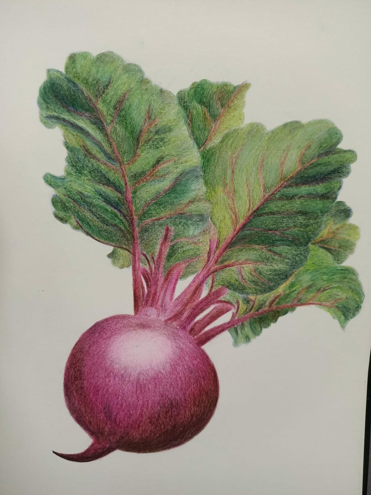 2023年6月19日-開始投入色鉛筆世界2120210