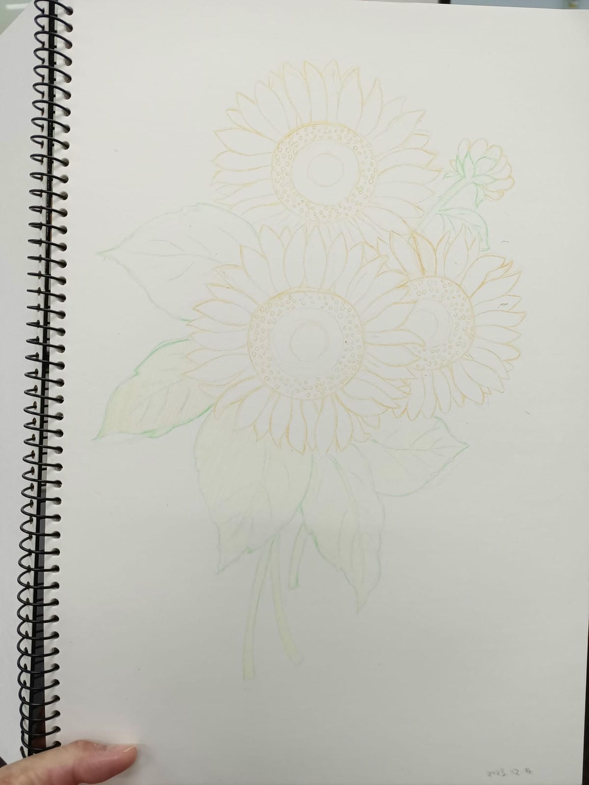 2023年6月19日-開始投入色鉛筆世界2120210