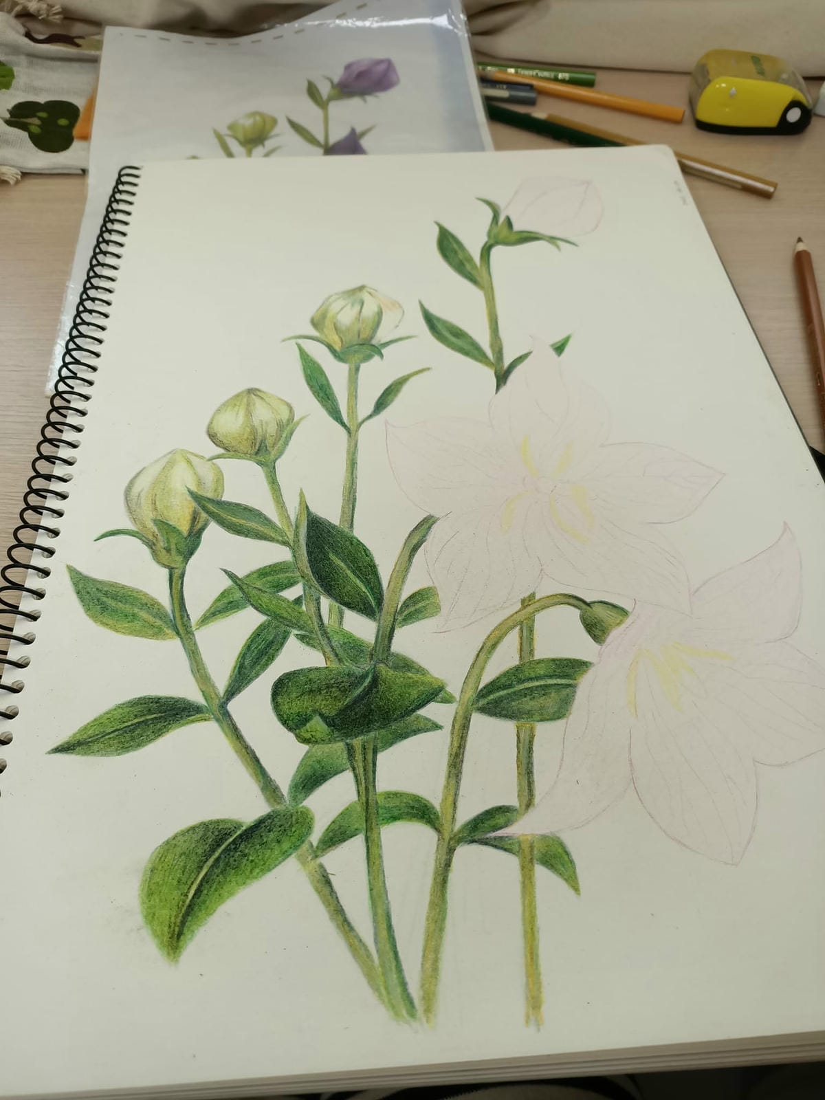 2023年6月19日-開始投入色鉛筆世界2120210