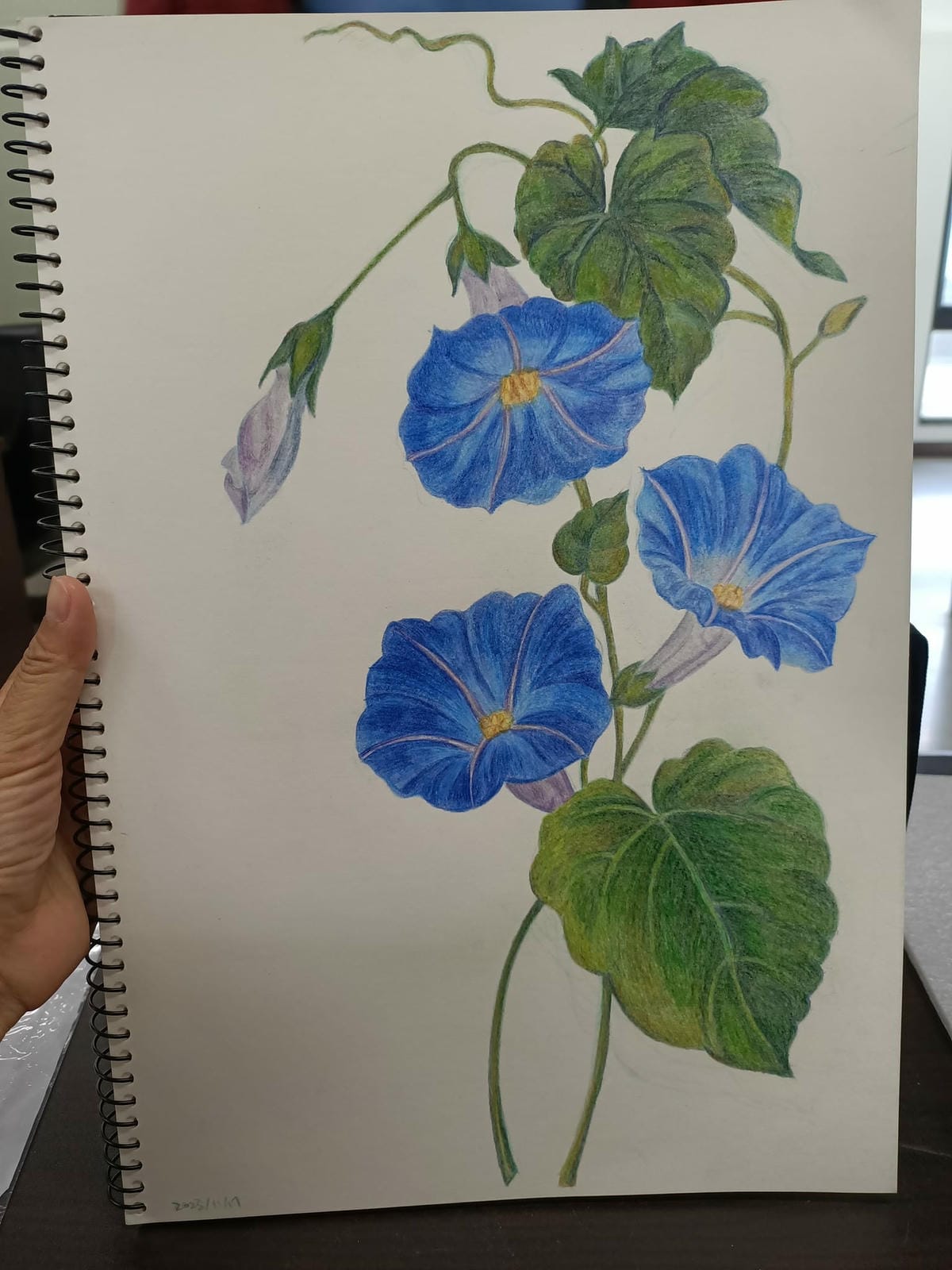 2023年6月19日-開始投入色鉛筆世界2120210