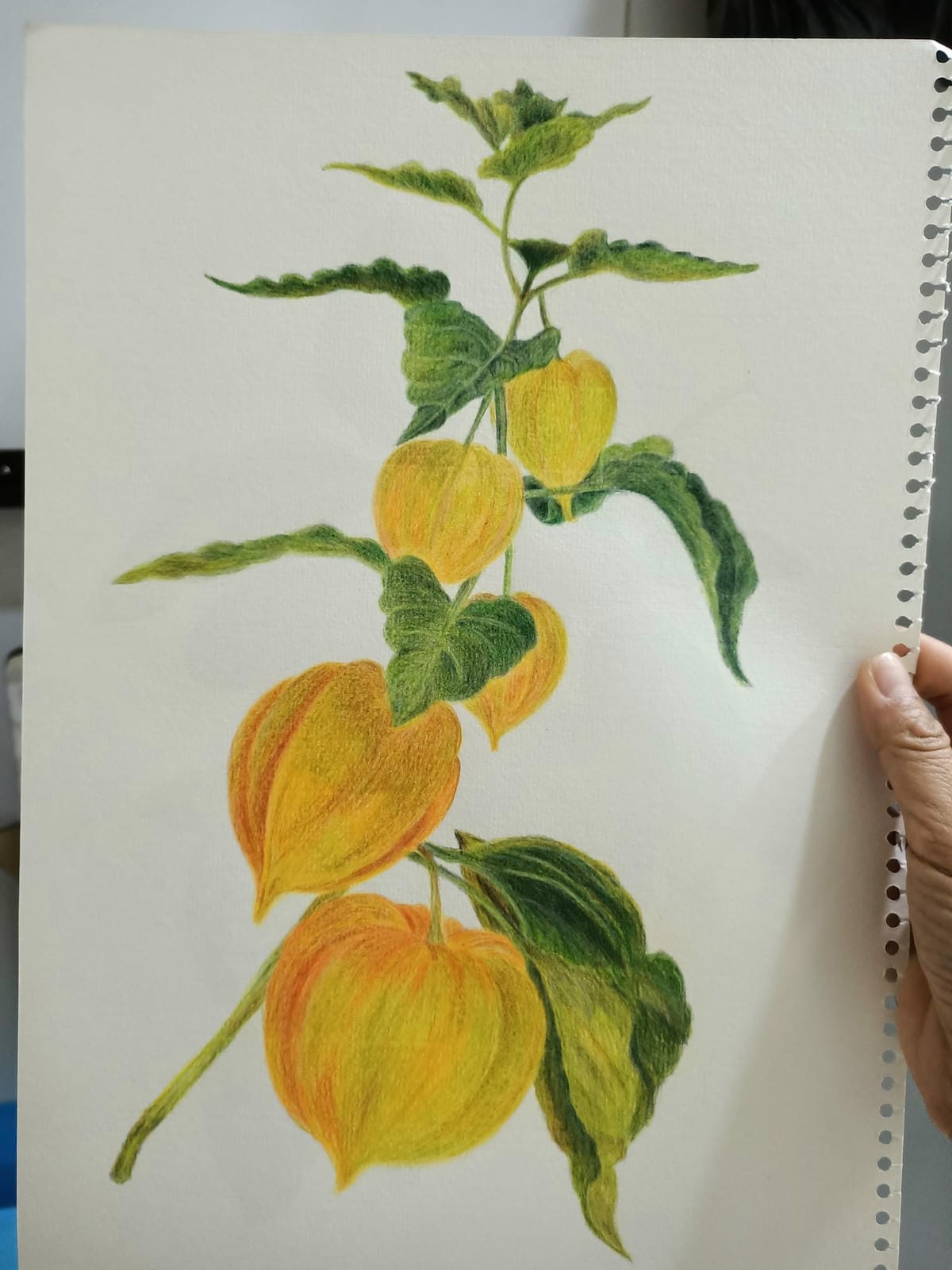 2023年6月19日-開始投入色鉛筆世界2120210