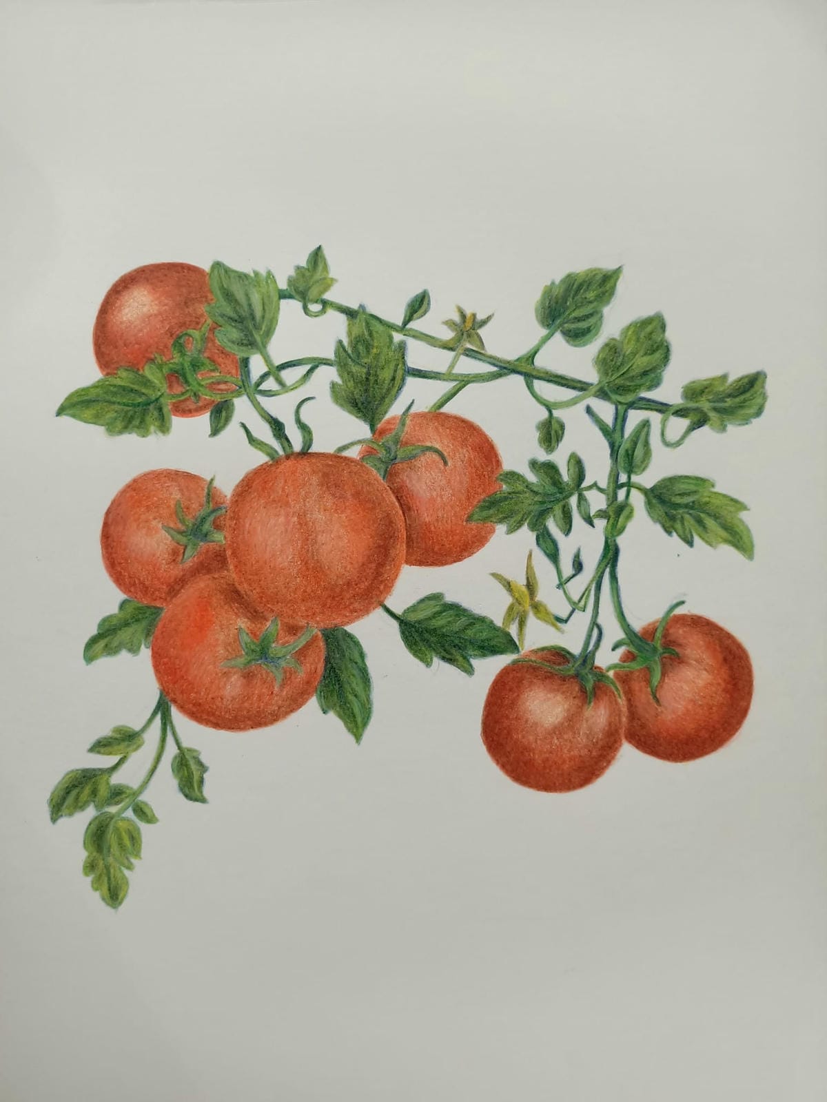 2023年6月19日-開始投入色鉛筆世界2120210