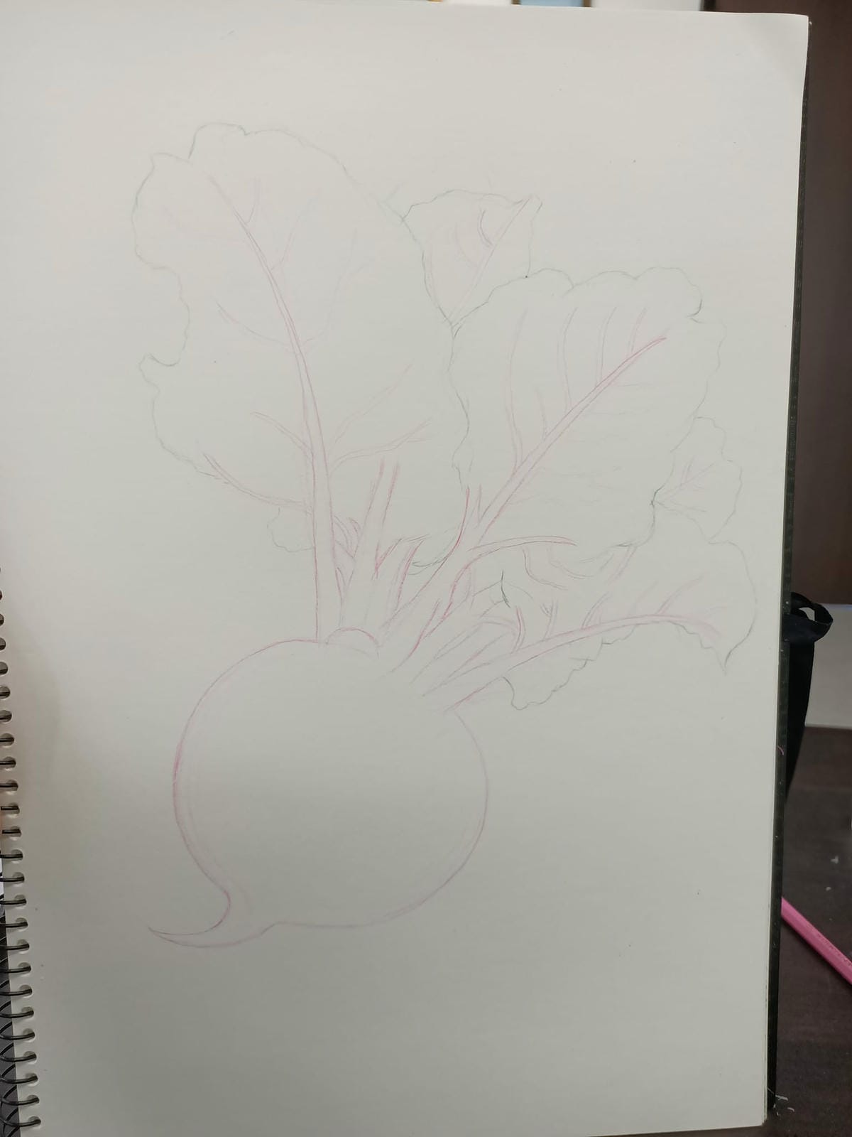 2023年6月19日-開始投入色鉛筆世界2120210