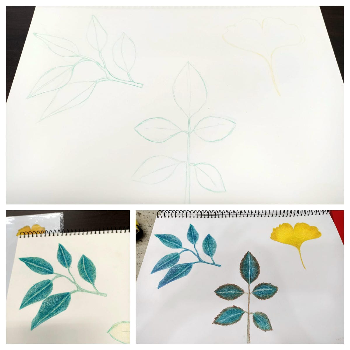 2023年6月19日-開始投入色鉛筆世界2120210