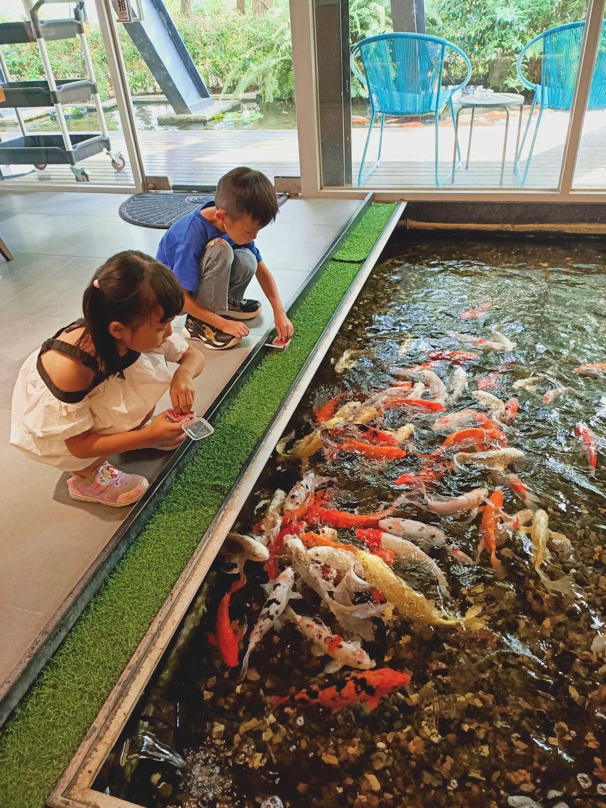 楓丹白露1120210210