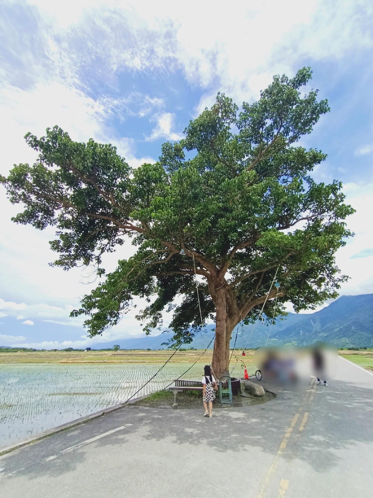 漫遊伯朗大道-天氣晴朗超好拍