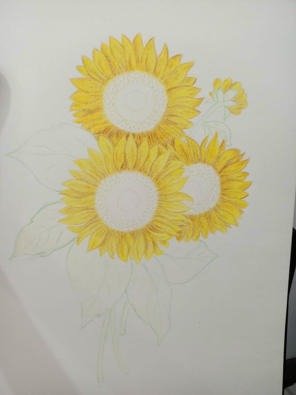 2023年6月19日-開始投入色鉛筆世界2120210