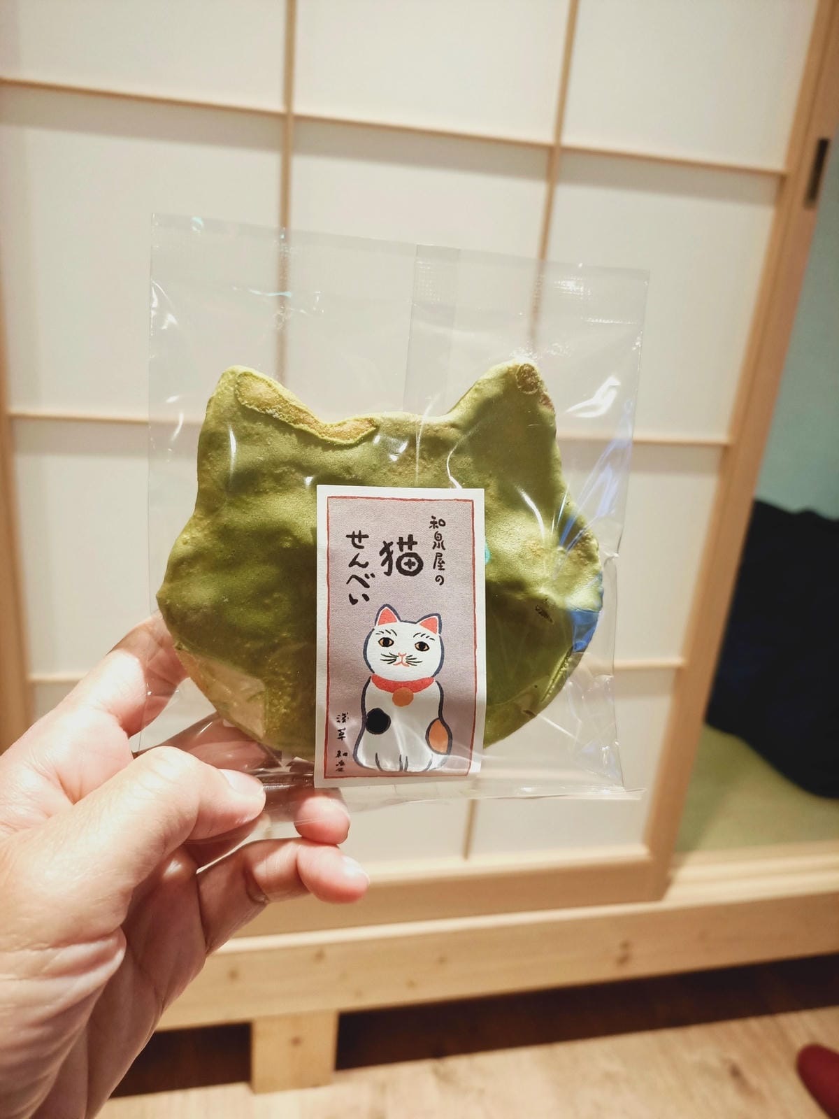 淺草雷門半日遊-即便是雨天也很好逛!!!