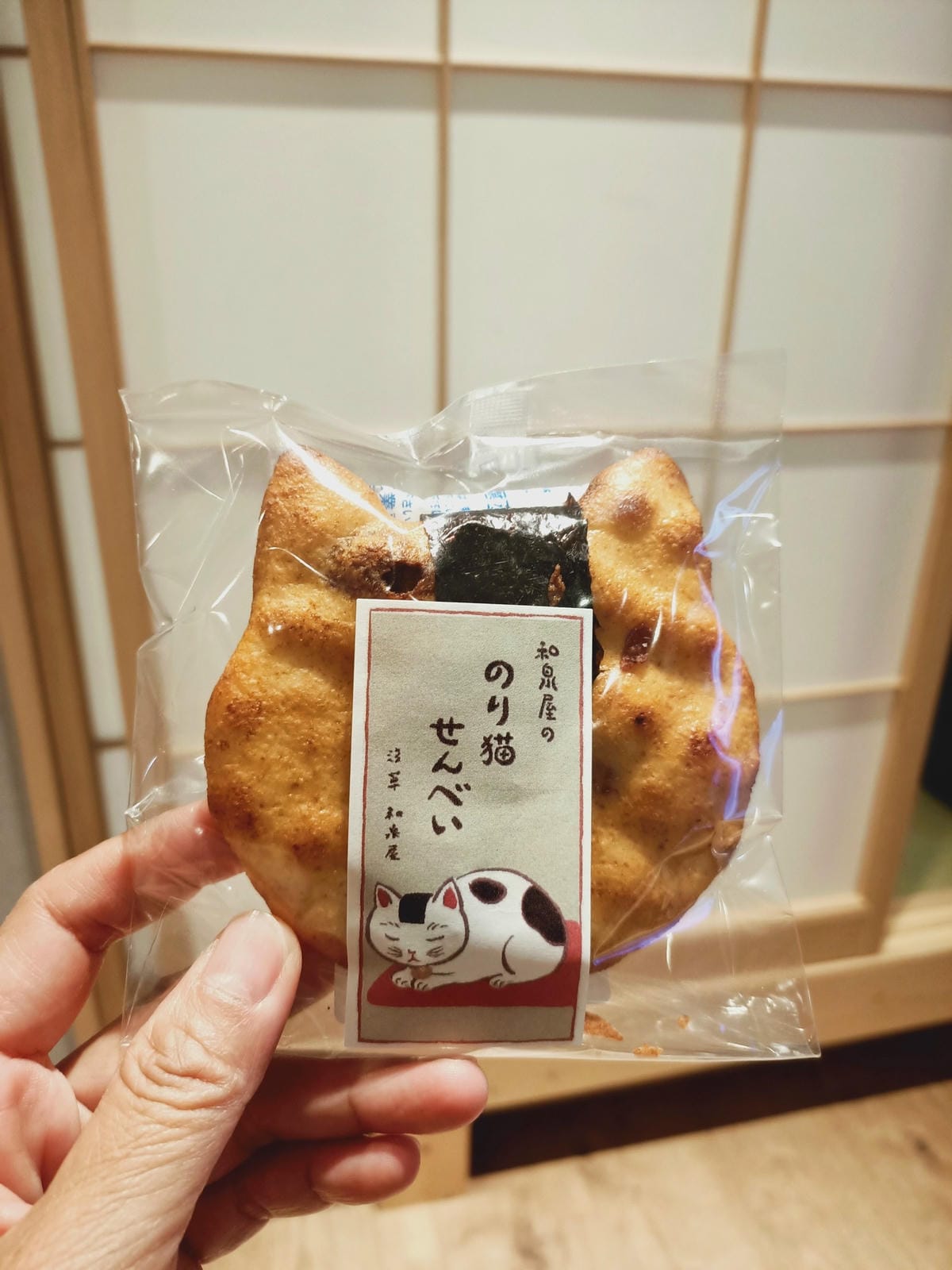 淺草雷門半日遊-即便是雨天也很好逛!!!