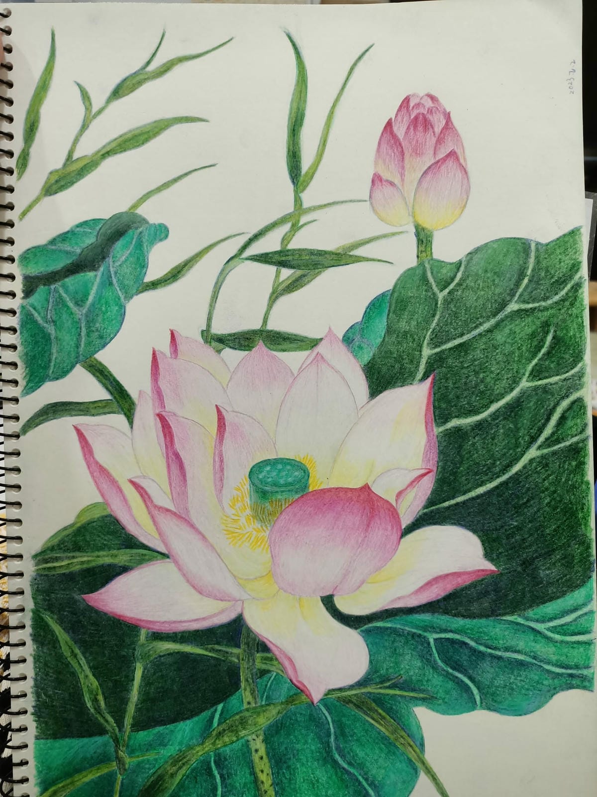 2023年6月19日-開始投入色鉛筆世界2120210