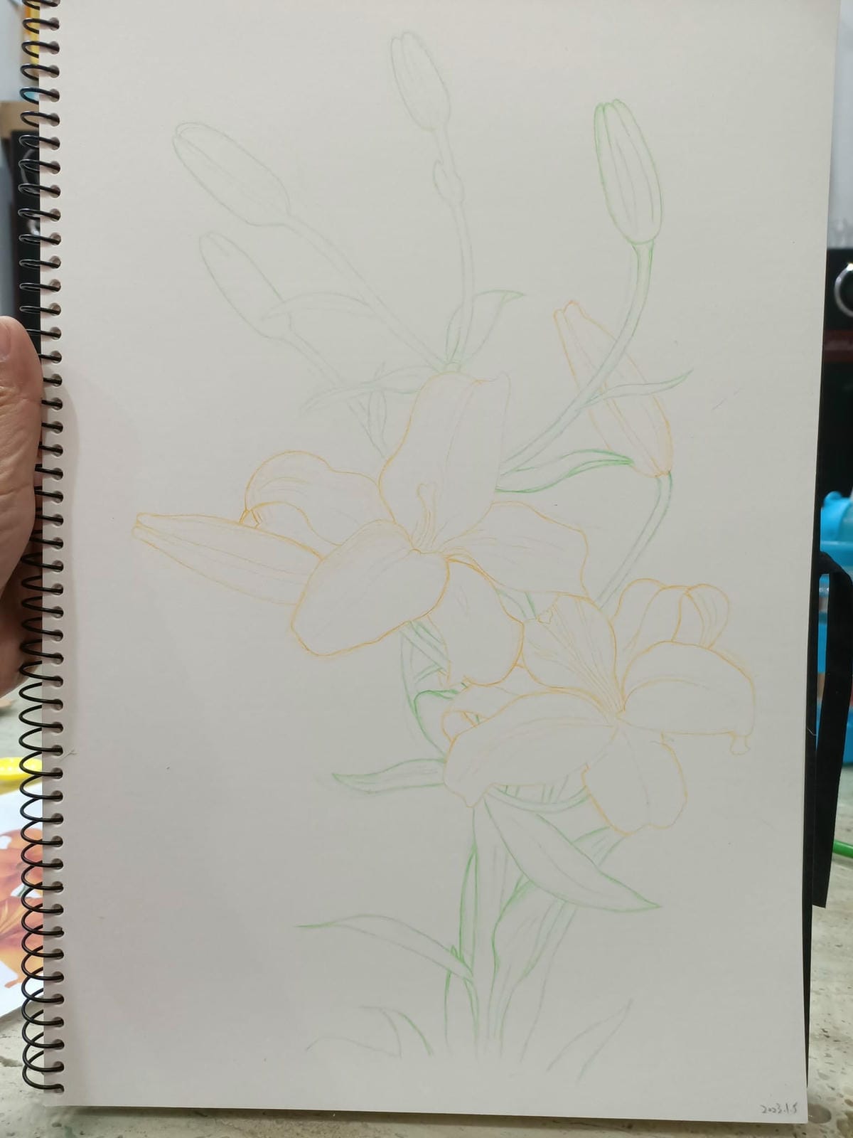 2023年6月19日-開始投入色鉛筆世界2120210