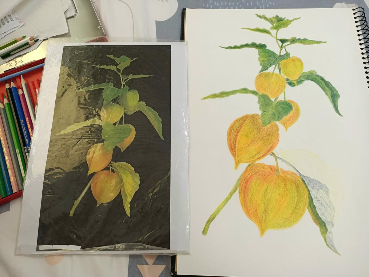 2023年6月19日-開始投入色鉛筆世界2120210